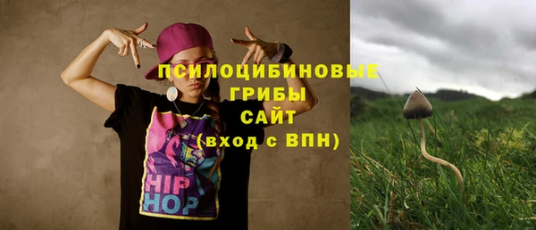 первитин Киреевск