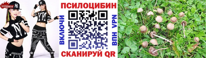 Псилоцибиновые грибы Magic Shrooms  Купить где  Бирюсинск 